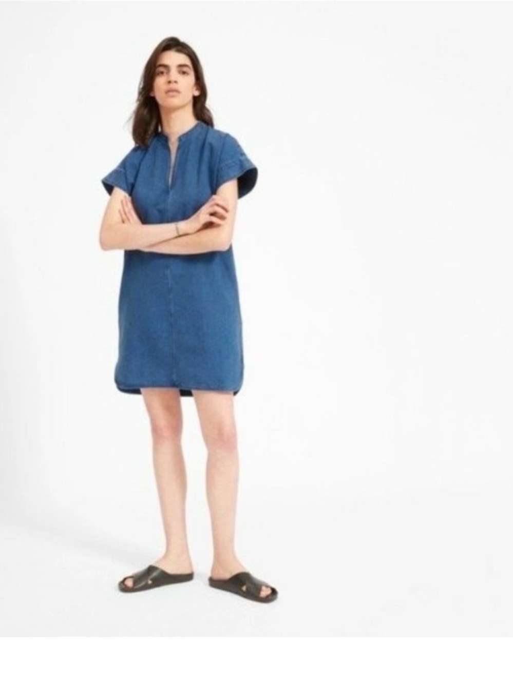 Everlane Indigo Blue Denim Shift Dress